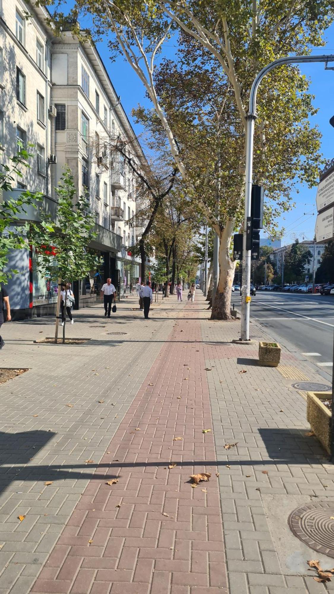 Ultracentral 2bd With Terrace *